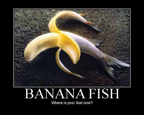 Forum Image: http://i300.photobucket.com/albums/nn15/aumynus/Random/bananafish.jpg