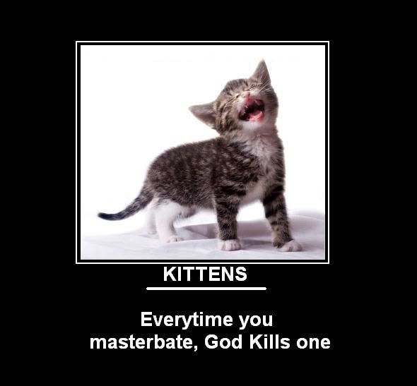 Forum Image: http://i300.photobucket.com/albums/nn15/aumynus/Random/cute-kitten.jpg