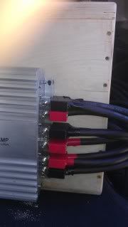 IMAG0266.jpg