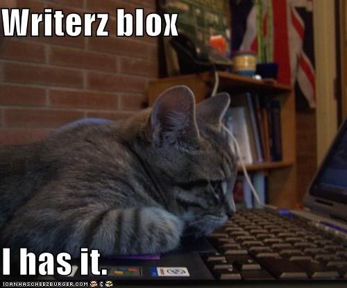 lol cat- writer's block
