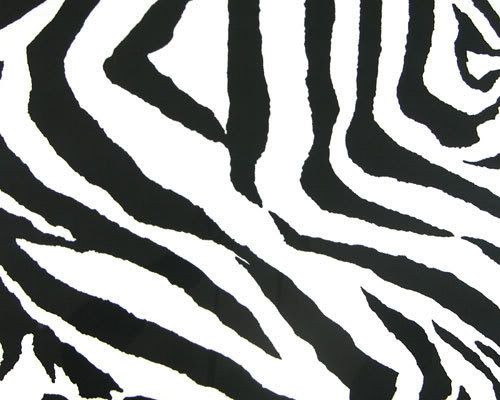 zebra print. zebraprint.jpg zebra print