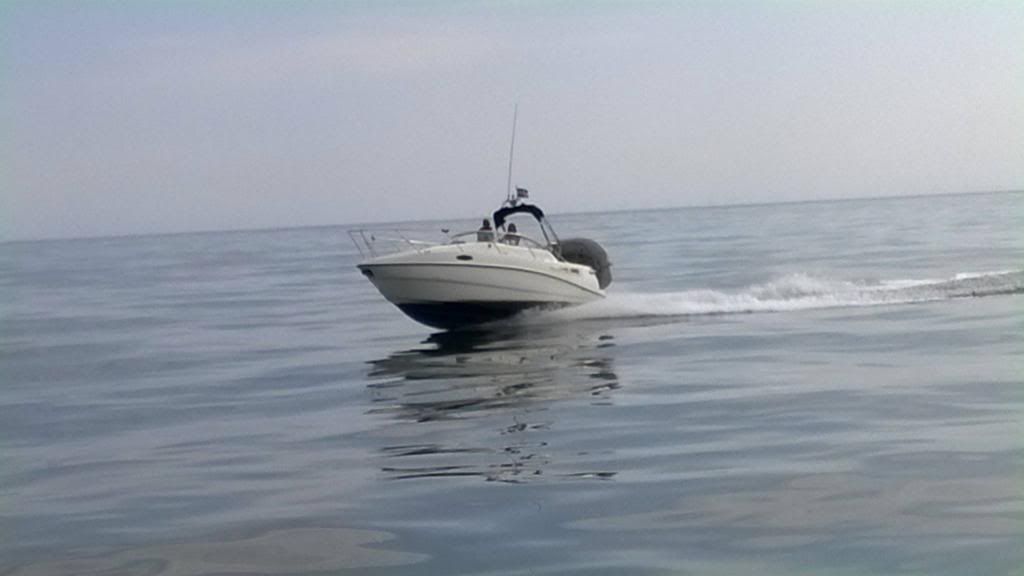 10295500_10152235183103271_7640677841417