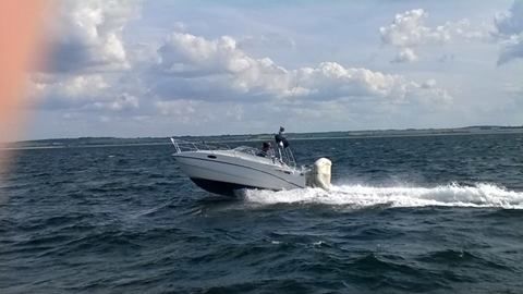 10352555_10152223874458271_2003091539565