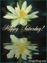 happy saturday Pictures, Images and Photos