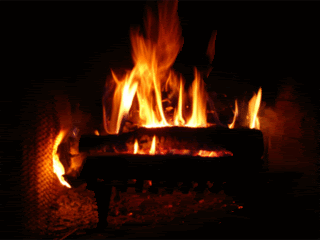 roasting fire Pictures, Images and Photos