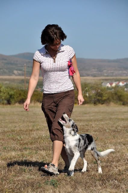 Atlas_heeling.jpg