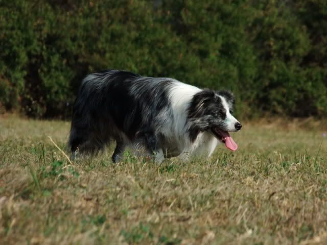 DSCF4297.jpg