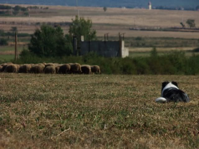 DSCF4422.jpg