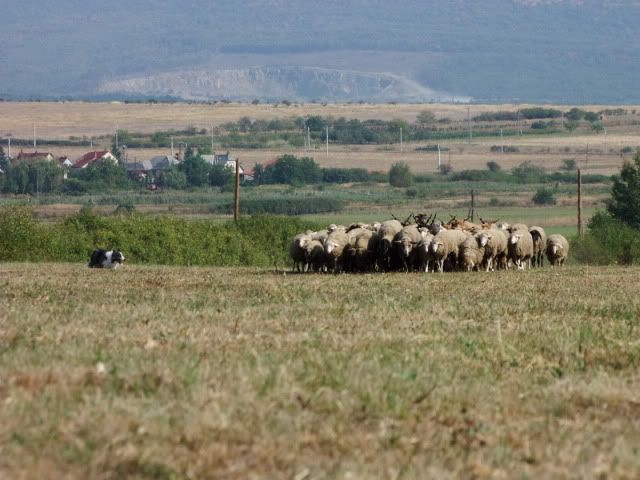 DSCF4432.jpg