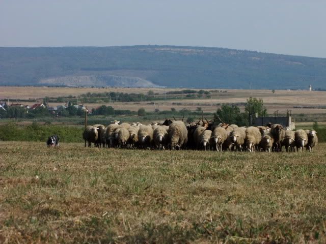 DSCF4436.jpg