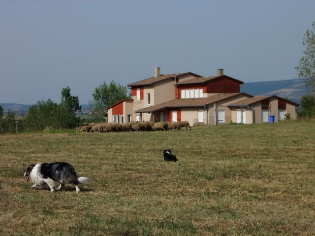 DSCF4467.jpg