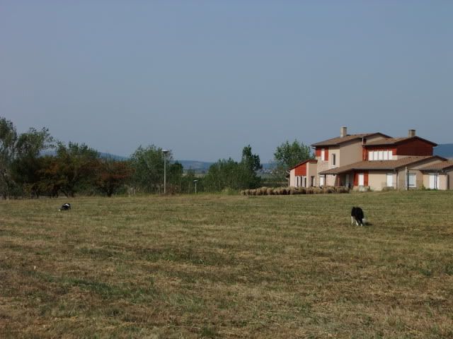 DSCF4469.jpg