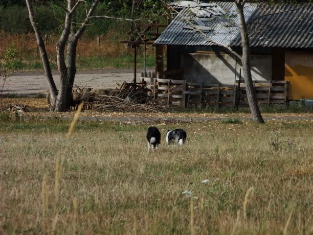 DSCF4472.jpg