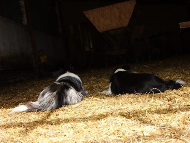 DSCF4475.jpg