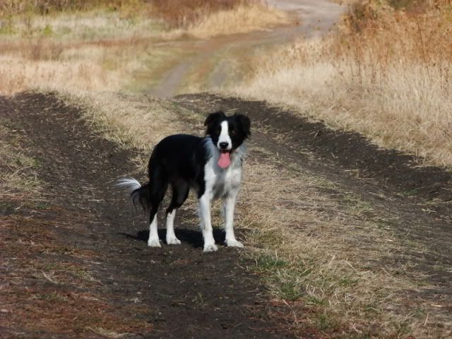 DSCF5672.jpg