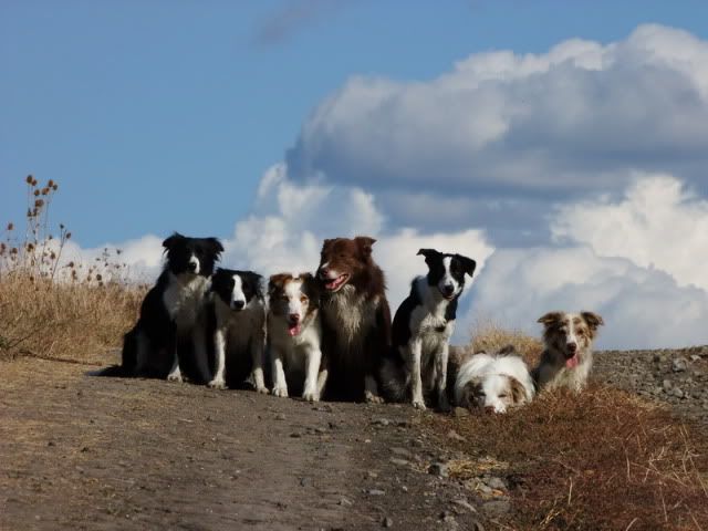 DSCF5726.jpg