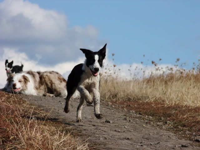 DSCF5731.jpg