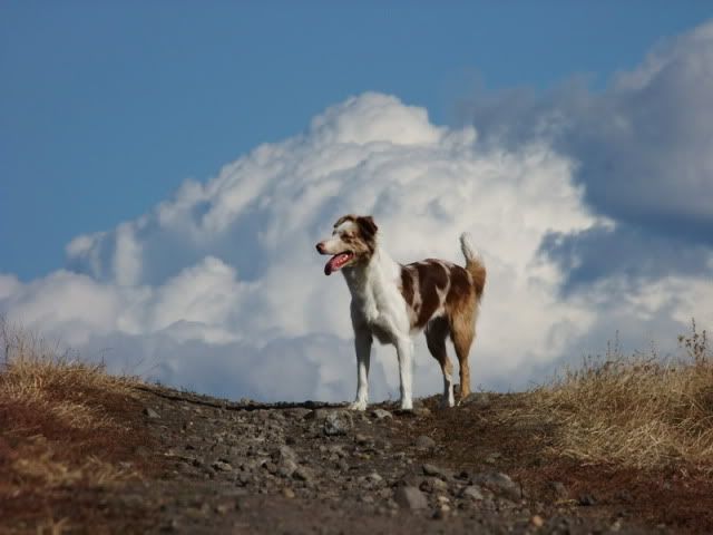 DSCF5765.jpg