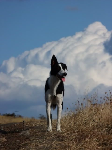 DSCF5775.jpg