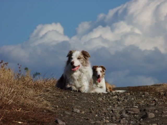 DSCF5786.jpg