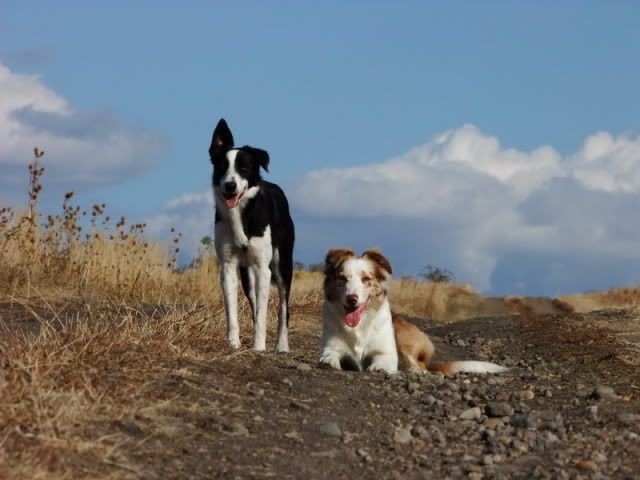 DSCF5811.jpg