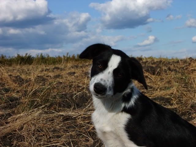 DSCF5919.jpg