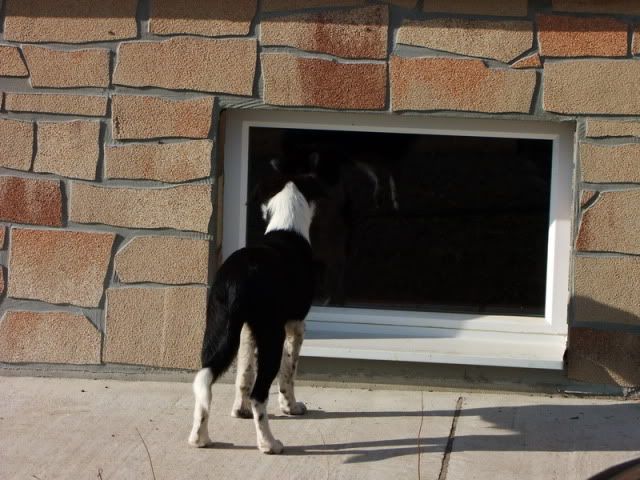 DSCF5931.jpg