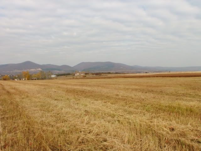 DSCF5971.jpg