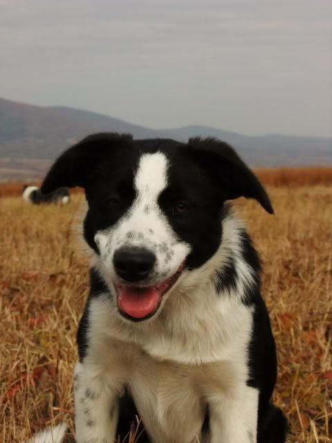 DSCF5997.jpg