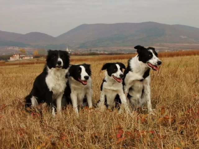 DSCF6002.jpg