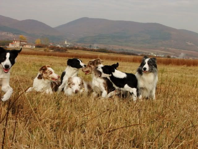 DSCF6014.jpg