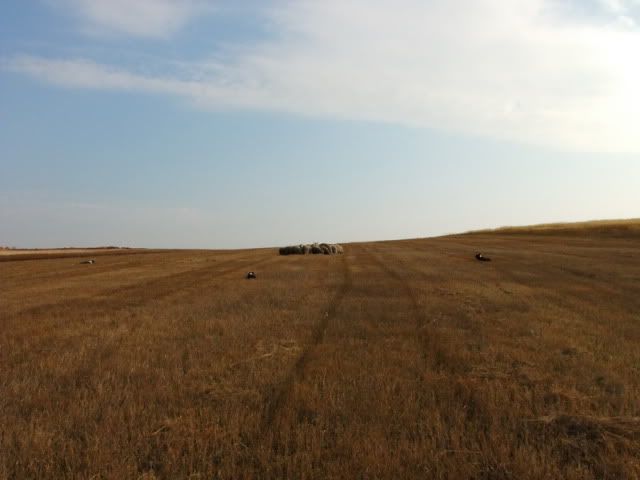 DSCF6147.jpg