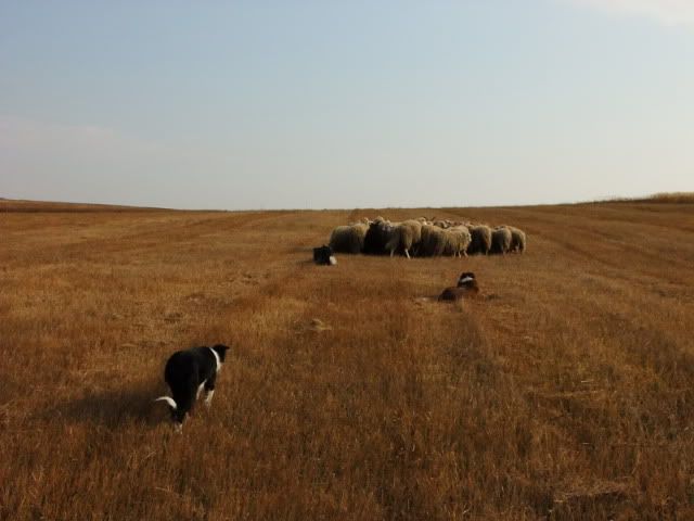 DSCF6150.jpg