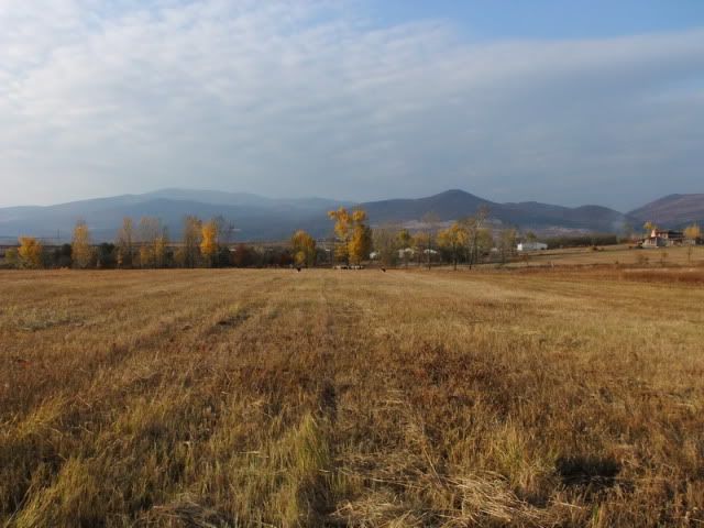 DSCF6240.jpg
