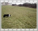 th_MOV07658.jpg