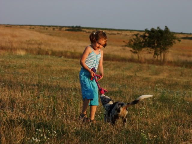 LJ4.jpg