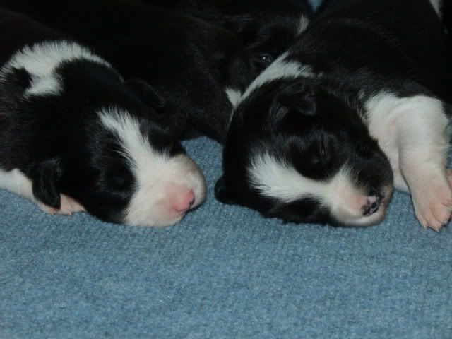 r2010_05140078.jpg