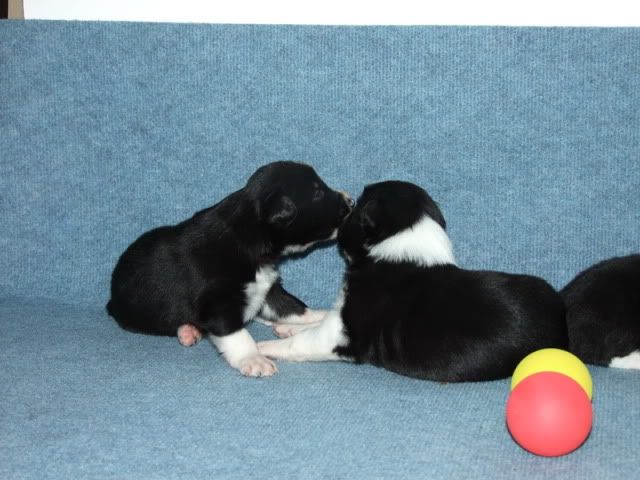 r2010_06070207.jpg
