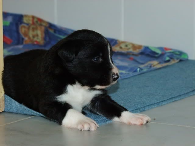 r2010_06090044.jpg