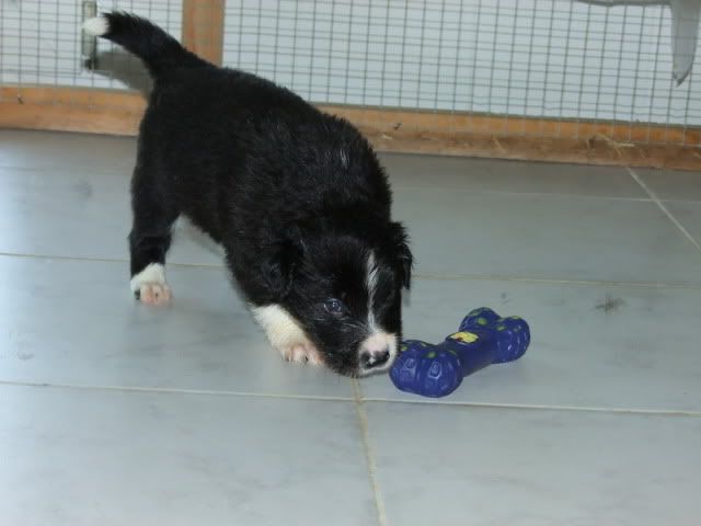 r2010_06120313.jpg