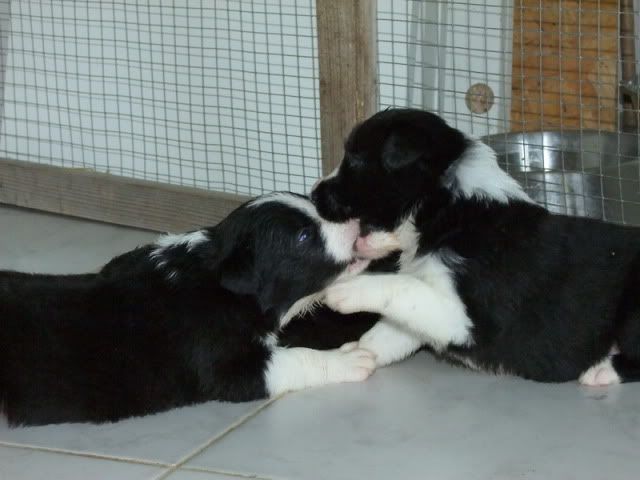 r2010_06120343.jpg
