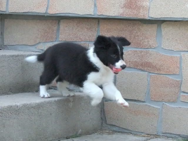 r2010_07170137.jpg