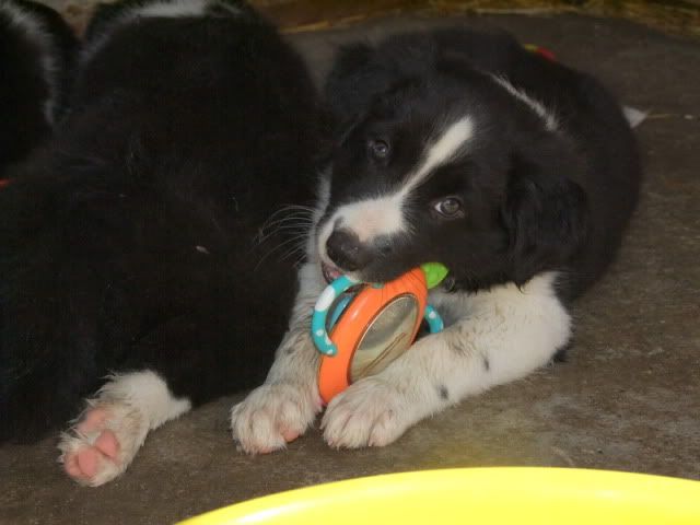 r2010_07170239.jpg