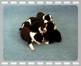 th_2010_05140039.jpg