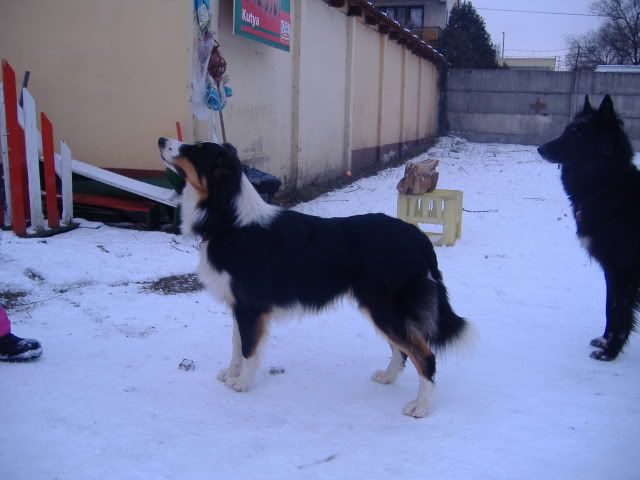 mogyi_en_dio032.jpg