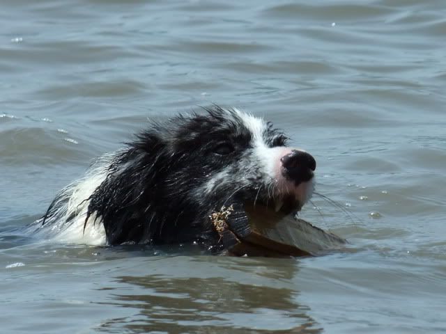 r2010_06120448.jpg