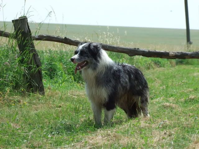 r2010_06120475.jpg