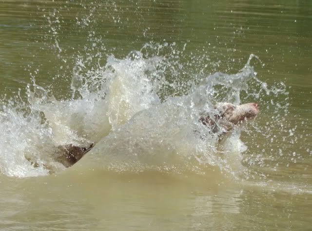 r2010_06290398.jpg