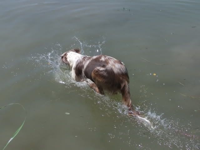 r2010_06290450.jpg