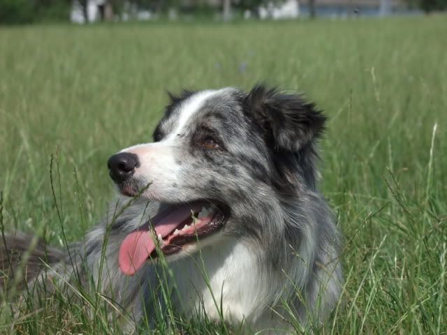 r2010_07080109.jpg